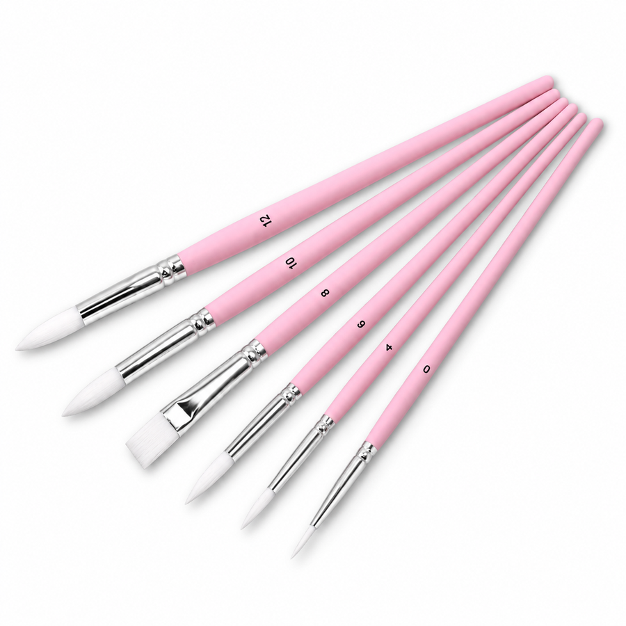 Premium Pink Brush Set | 6 Pieces