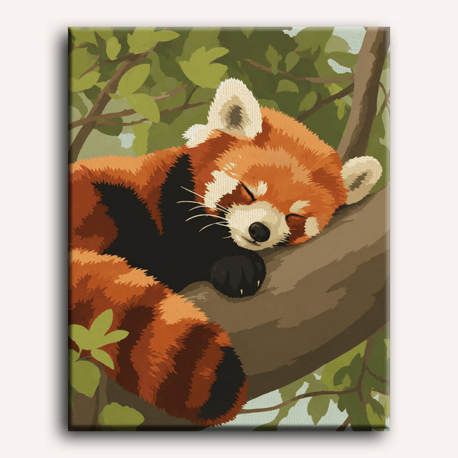 Sleepy Red Panda | Paint by Numbers