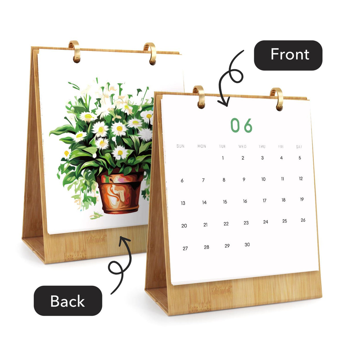 12 Mini Paintings | Plants Calendar Set