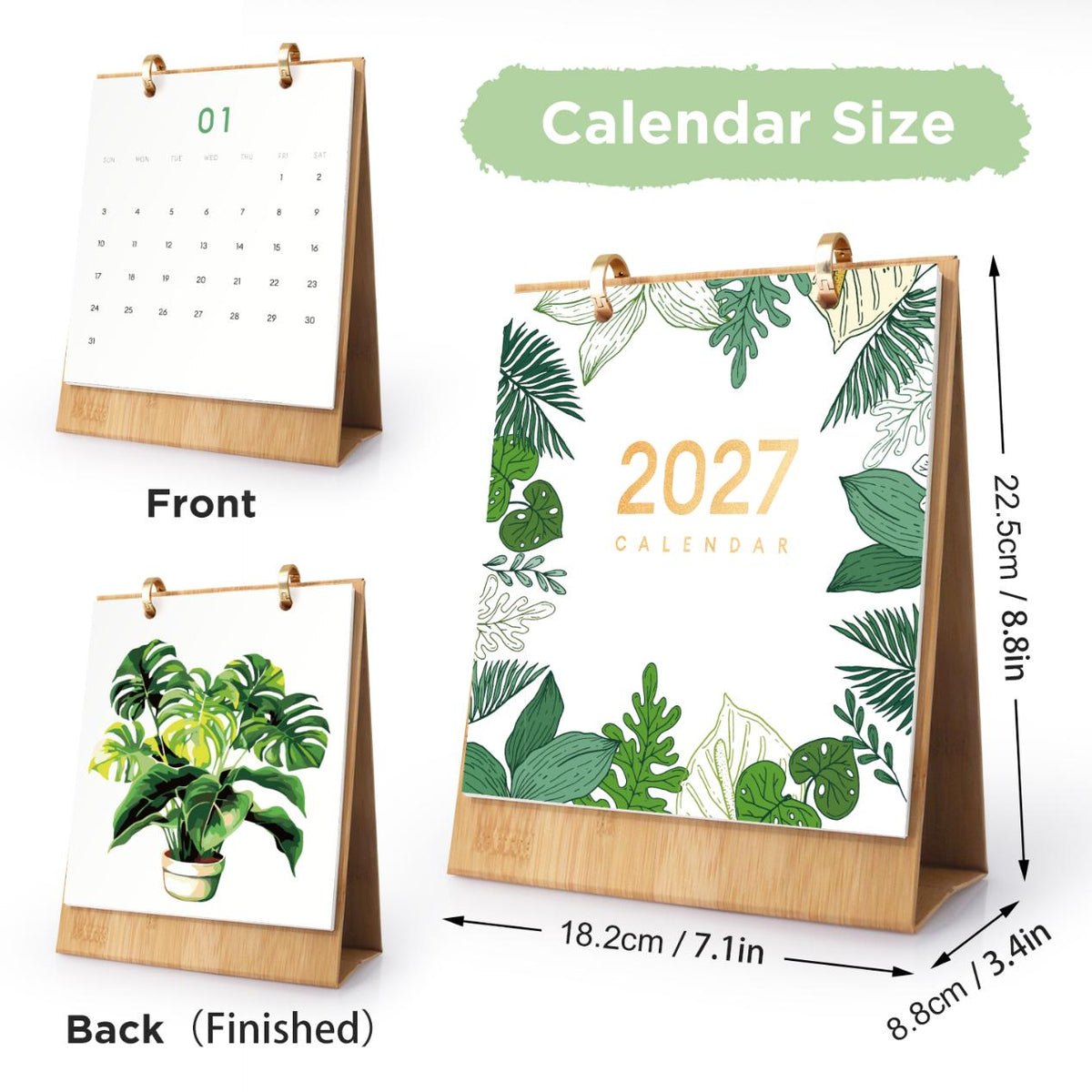 12 Mini Paintings | Plants Calendar Set
