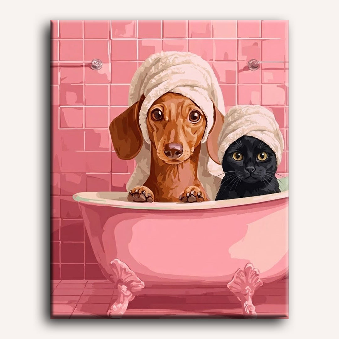 Dachshund & Cat in Bath | Paint by Numbers
