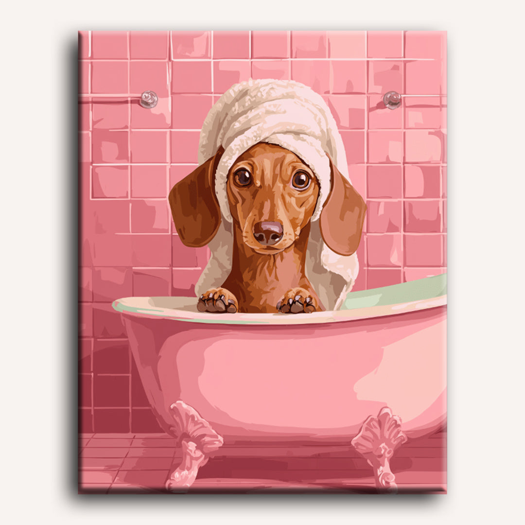 Dachshund in Bath | Paint by Numbers