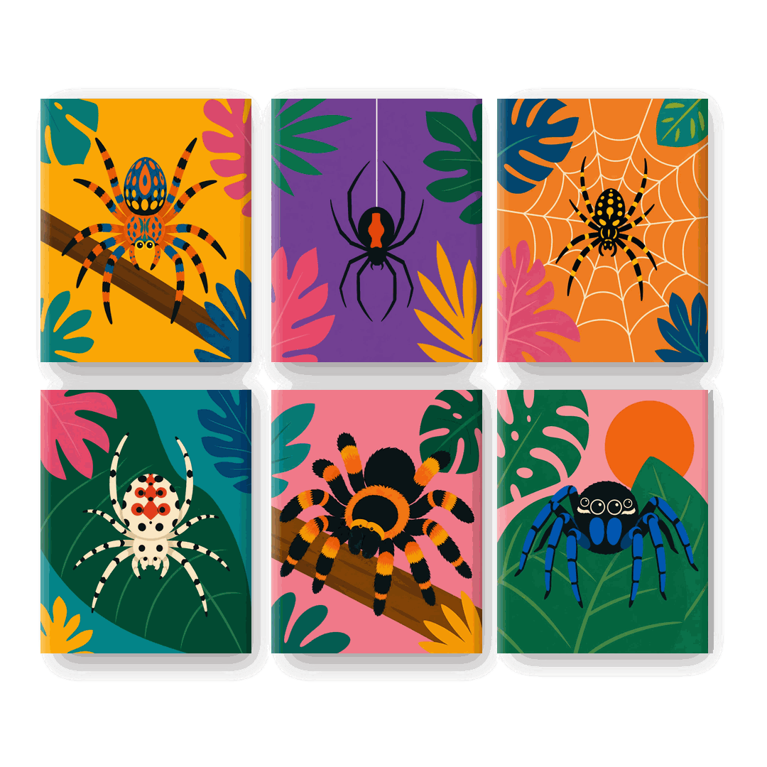 6 Mini Paintings | Exotic Spider Set