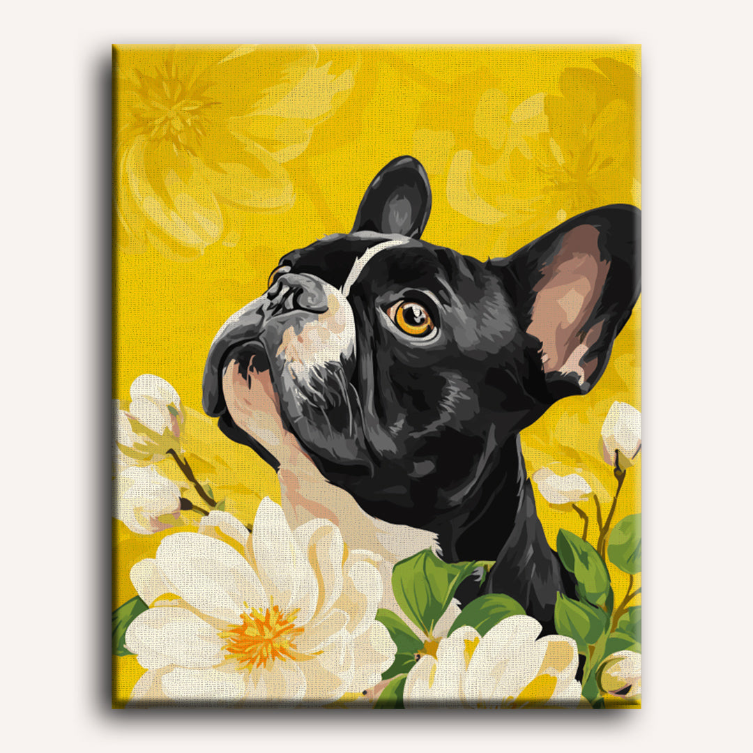 Magnolia’s French | Paint by Numbers