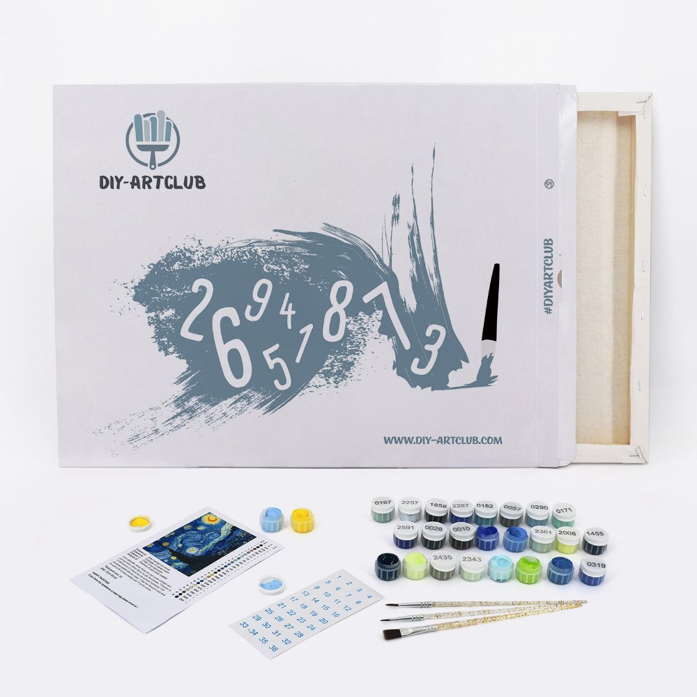 Custom Kit | Paint by Numbers