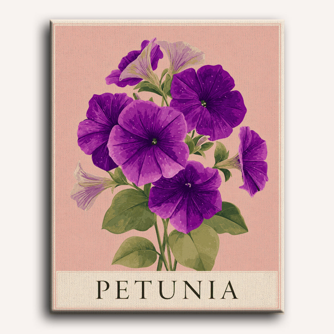 Petunia | Paint by Numbers