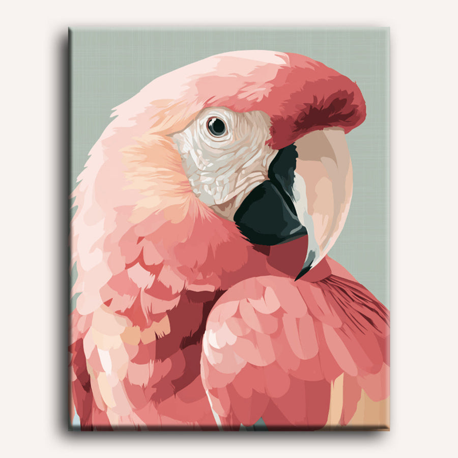 Pink Ara | Paint by Numbers