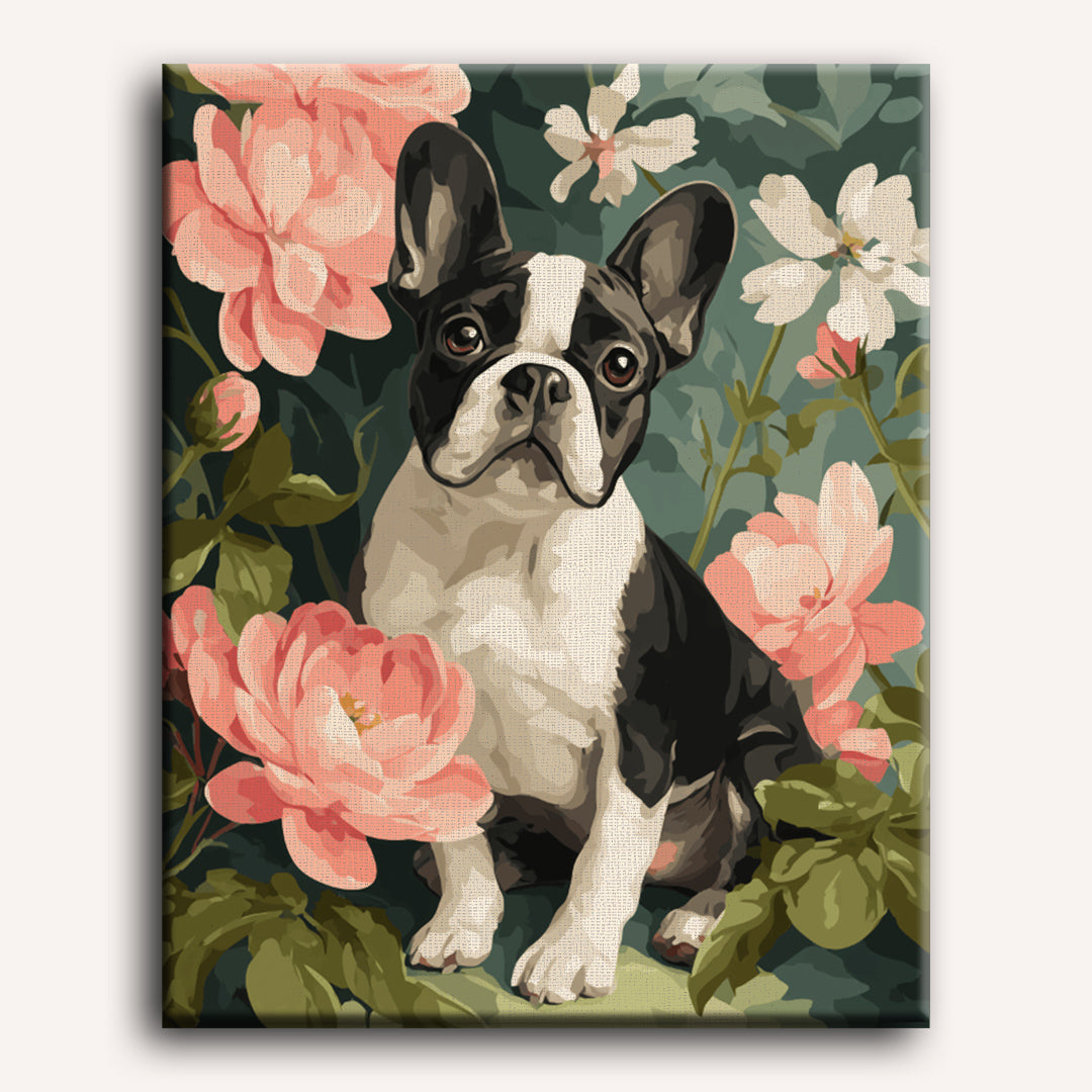 Portrait of French | Paint by Numbers
