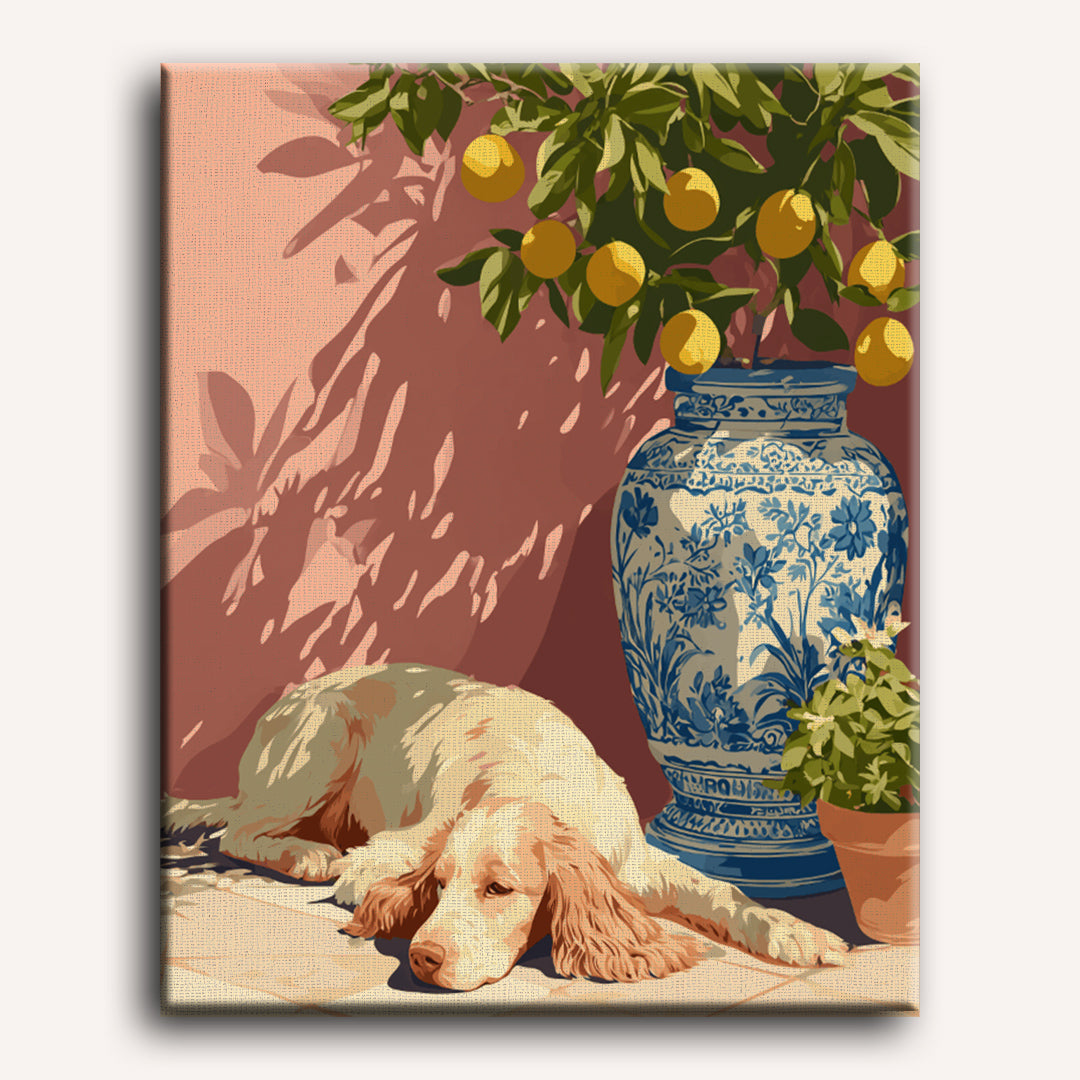 Siesta | Paint by Numbers
