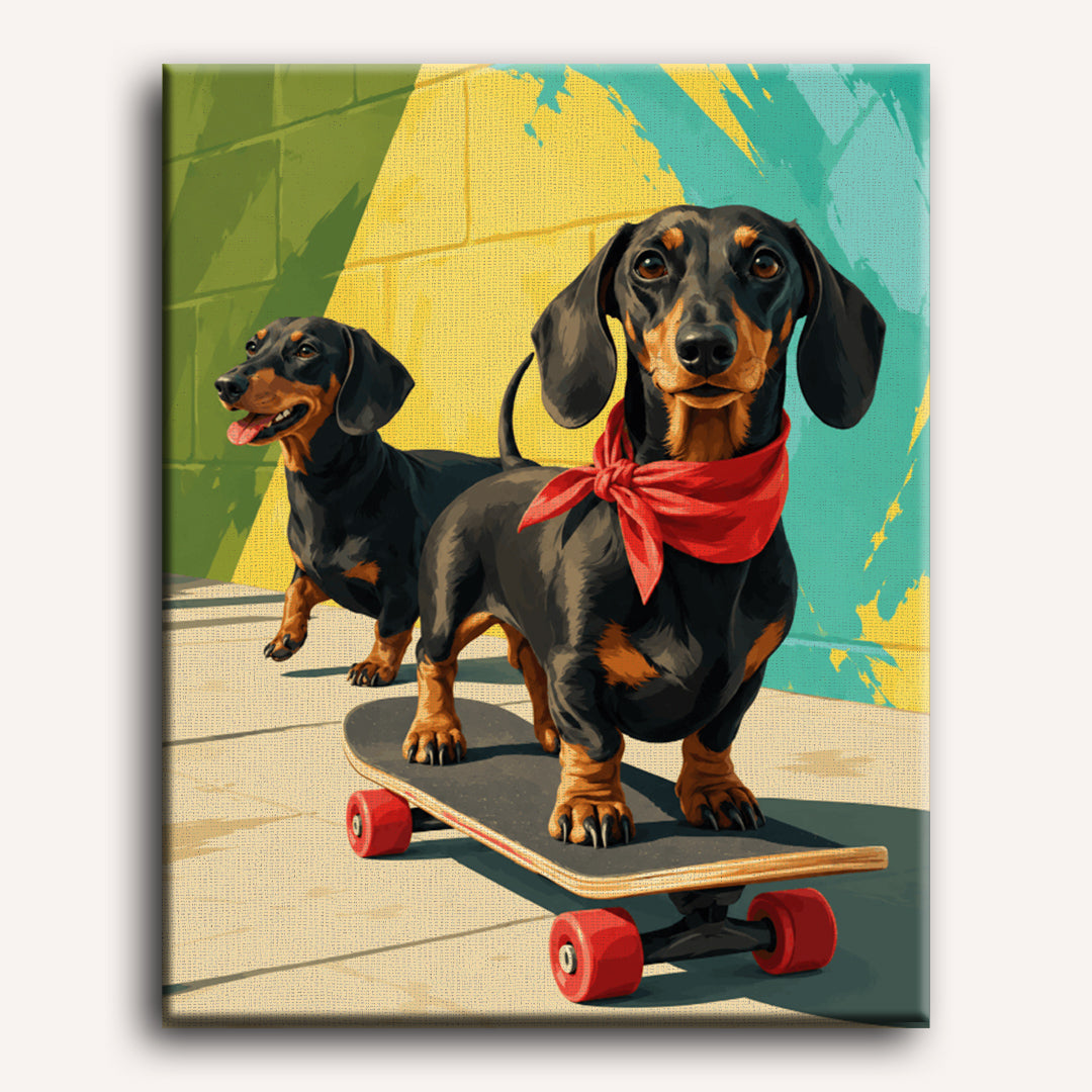 Skater Dachshund | Paint by Numbers