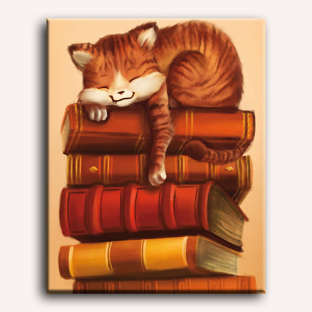 Sleeping Cat | Paint by Numbers