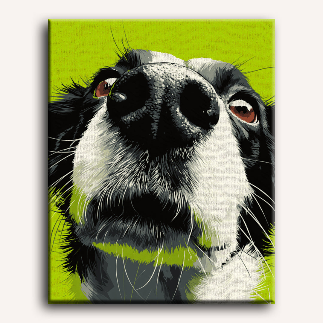 Sniff Mode | Paint by Numbers