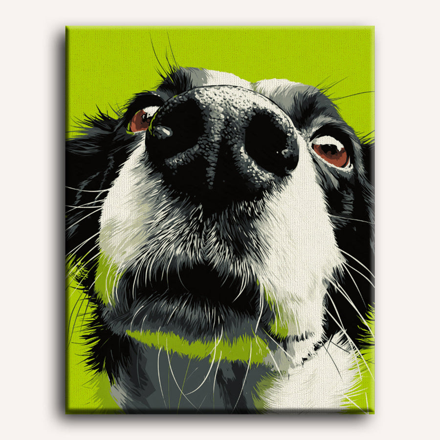 Sniff Mode | Paint by Numbers