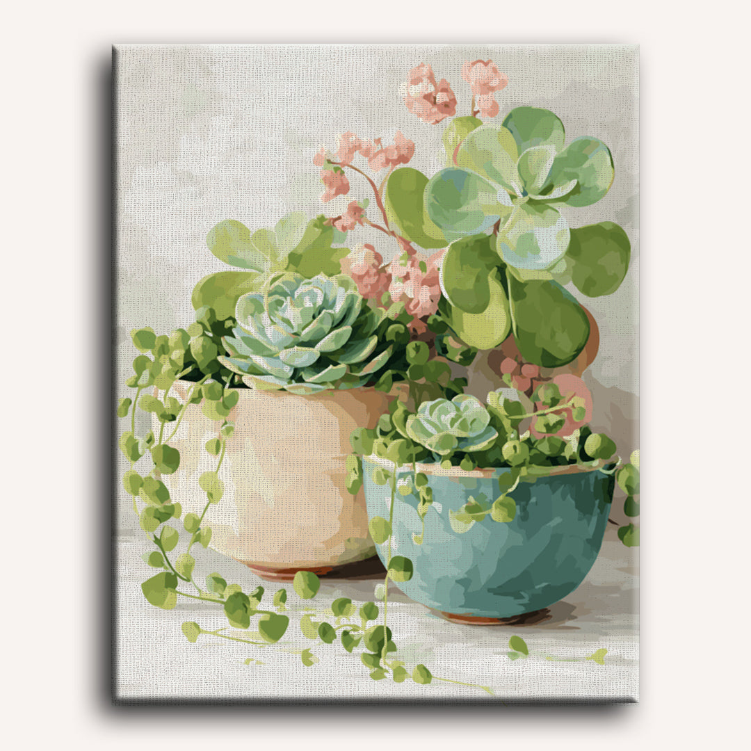 Spring Succulents | Paint by Numbers