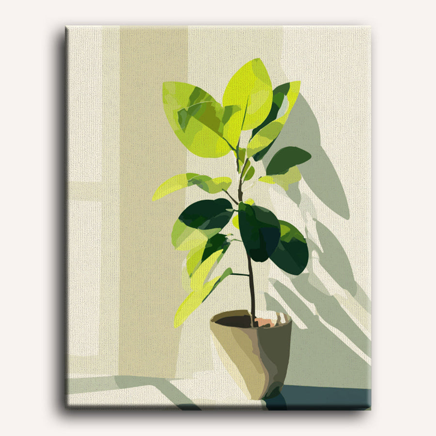 Sunlit Ficus | Paint by Numbers
