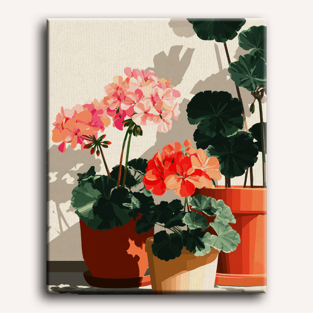 Sunlit Geraniums | Paint by Numbers