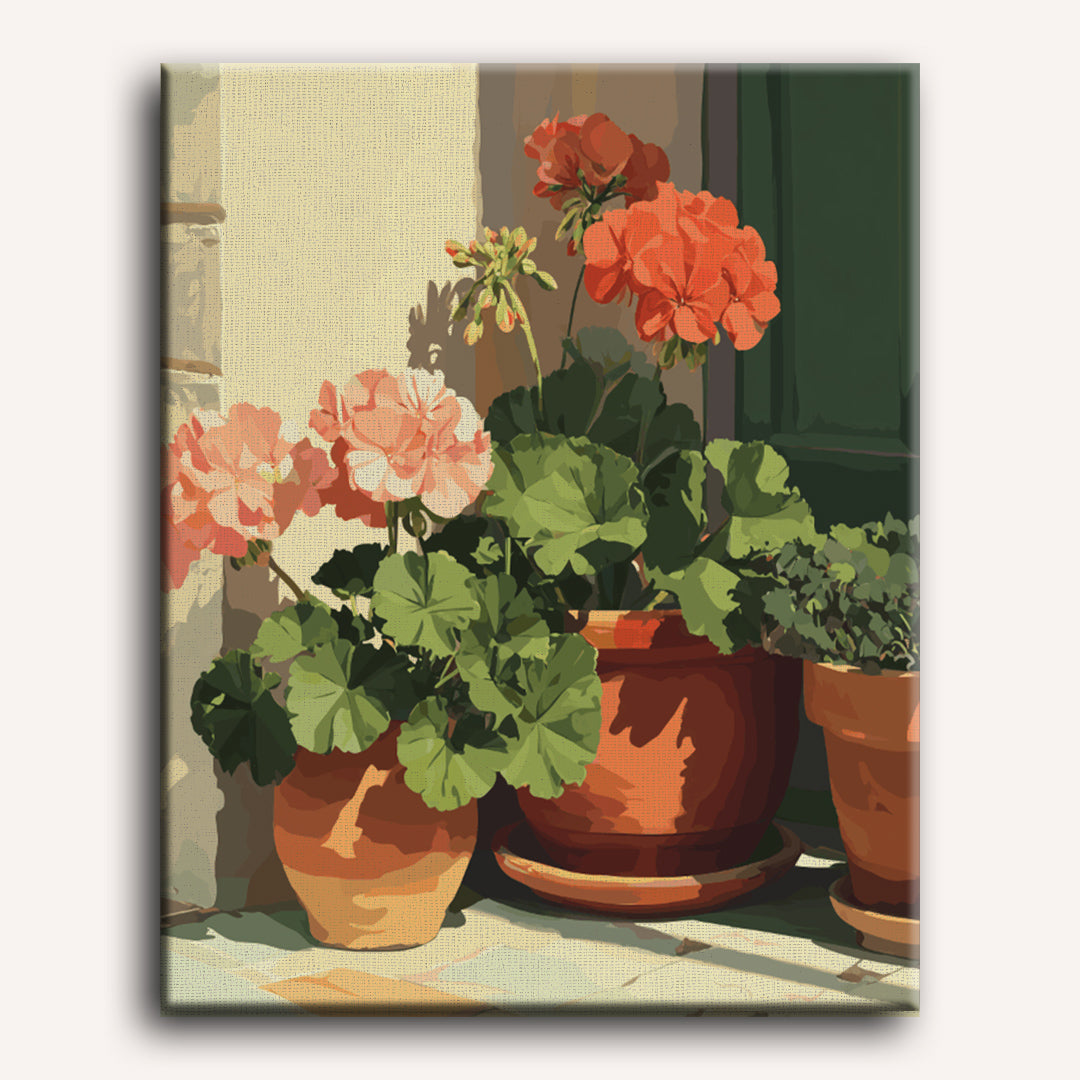 Terracotta Geraniums | Paint by Numbers