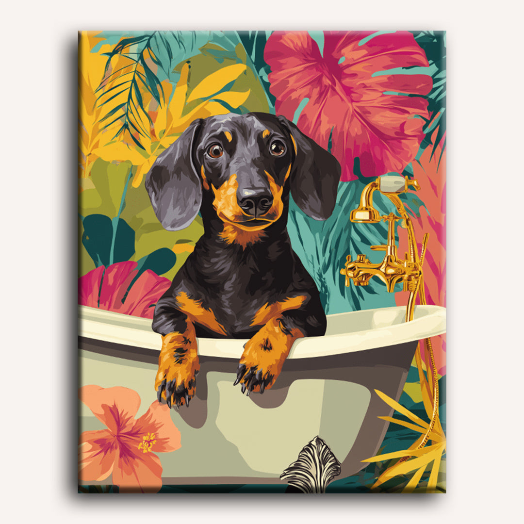 Tropical Dachshund | Paint by Numbers