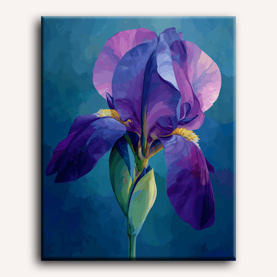 Velvet Iris | Paint by Numbers