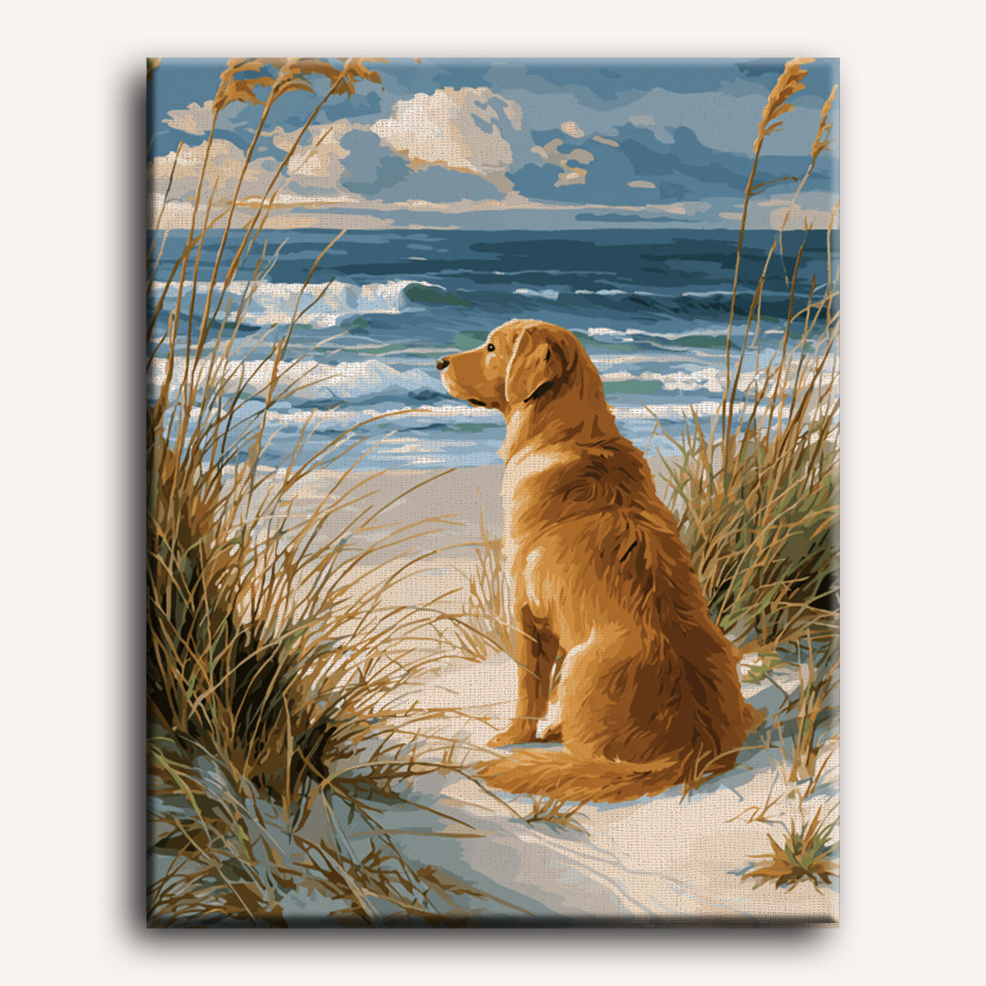 Waiting Labrador | Paint by Numbers