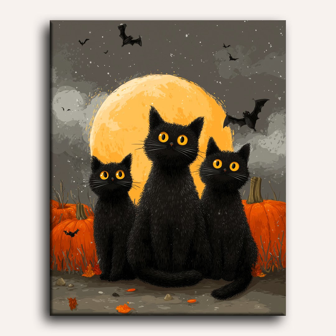 Black Trio | Paint by Numbers